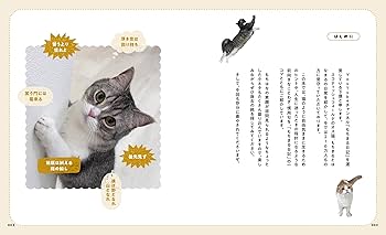 日本語「ことわざ」の達人 日本語「ことわざ」の達人 | 言の葉研究会 |本 | 通販 | Amazon